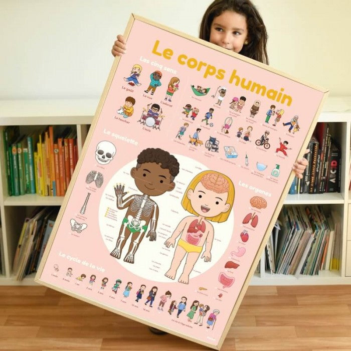 Poster Corpo Humano Stickers