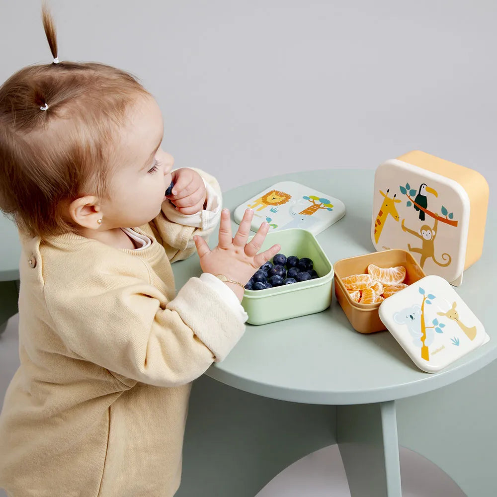 Conjunto de Snack Boxes - Jungle