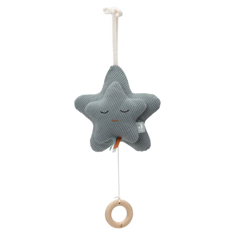 Peluche Musical - Sea Green