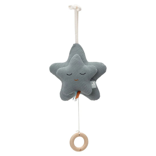 Peluche Musical - Sea Green