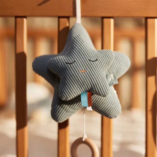 Peluche Musical - Sea Green