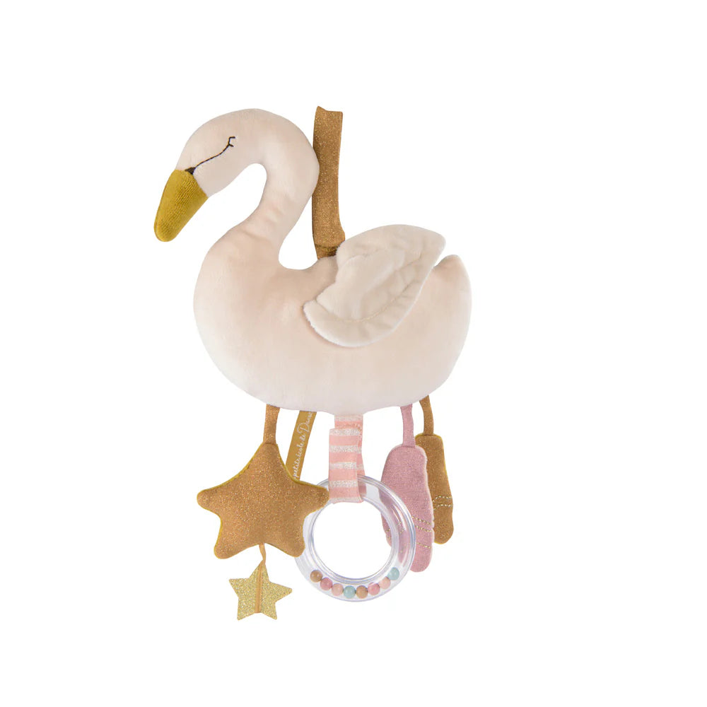 Cisne de Atividades