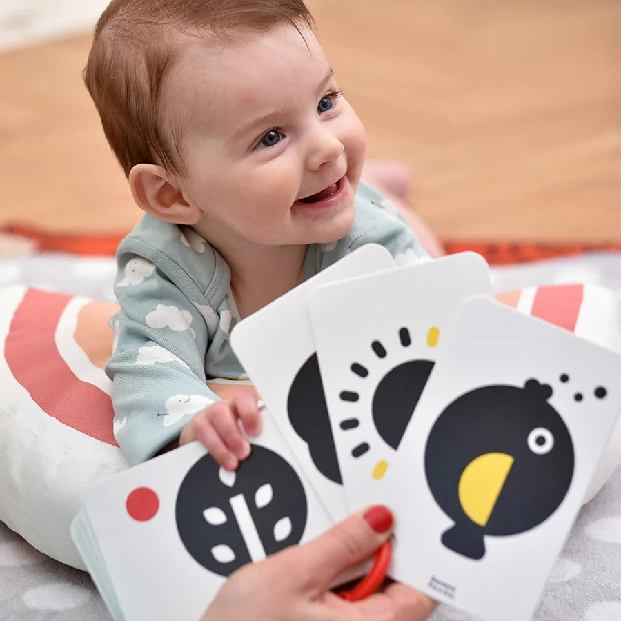 Banana Panda - Cartas de Alto Contraste em Anel - 0+ meses