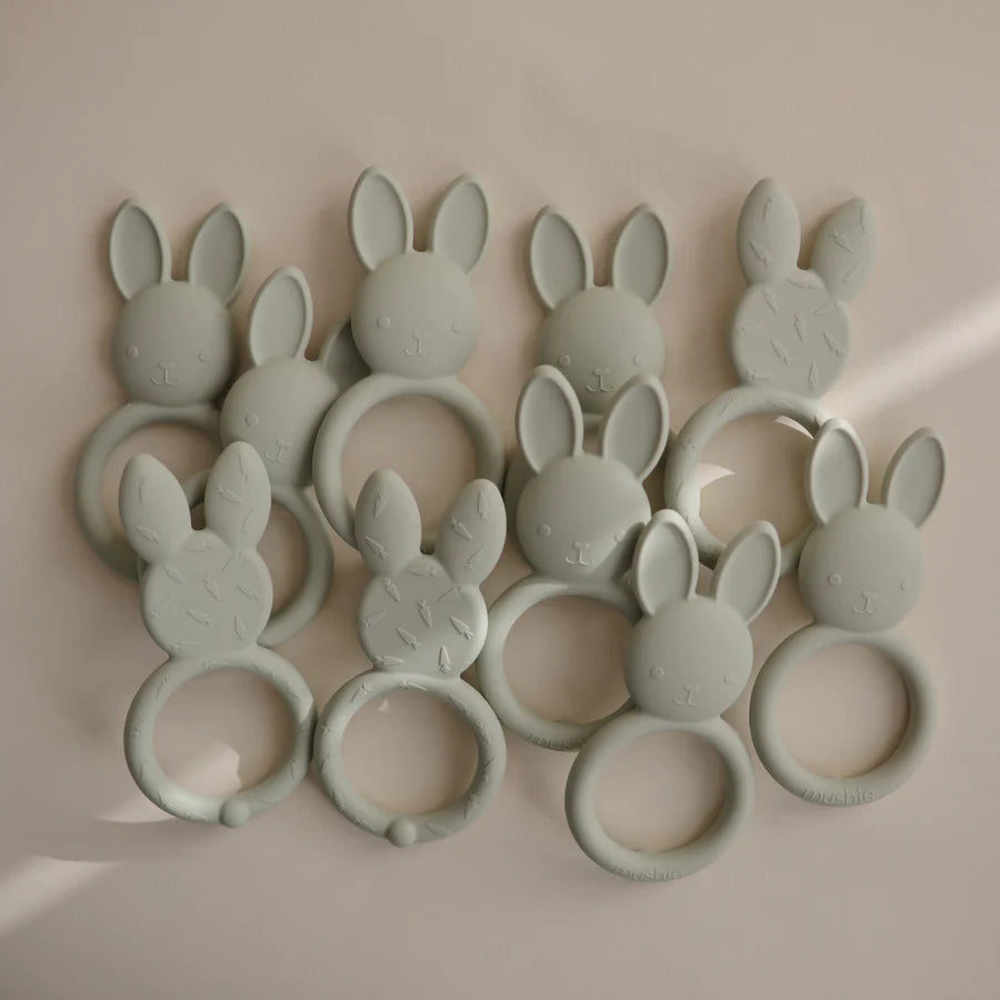 Mordedor de Silicone - Coelho
