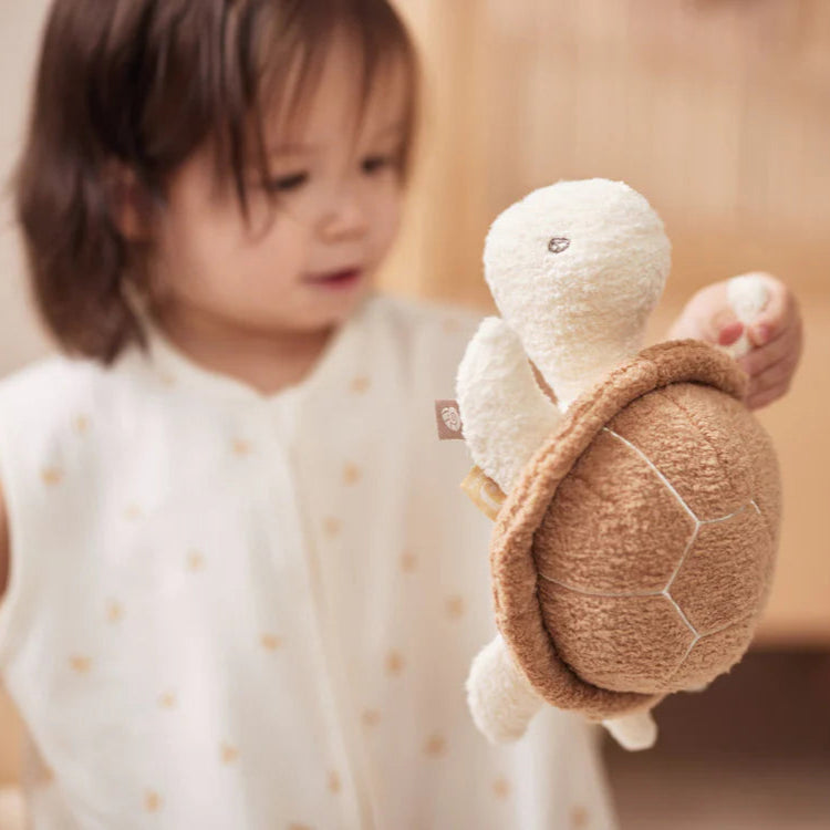 Peluche de Atividades - Tartaruga