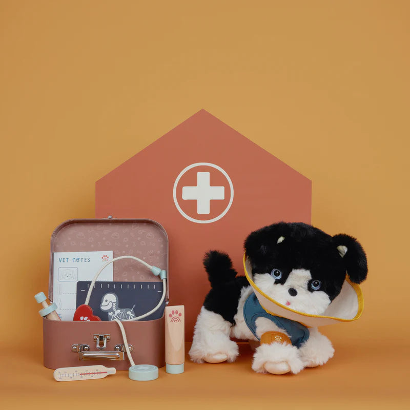 Set de Veterinário